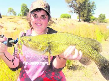 This month's author, Hayley Mcdonald with a great example of what fishing through the day can produce.