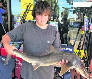 Young Justin with a nice gummy he caught off the breakwater while chasing whiting.