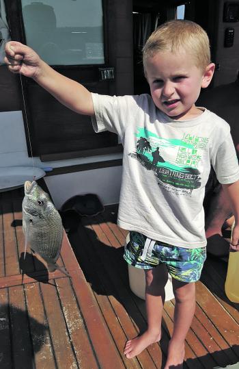 Even the kids have been able to get in on the action, with the estuaries really firing-up and this month the bream are feeding close to the mouths of harbours, rivers and lakes, getting ready for their spawning run up the coast. Blake Johnson is only a li